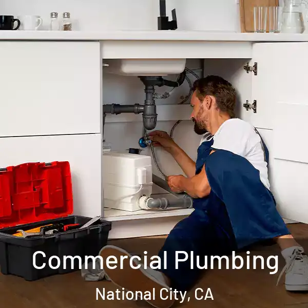  Commercial Plumbing National City, CA