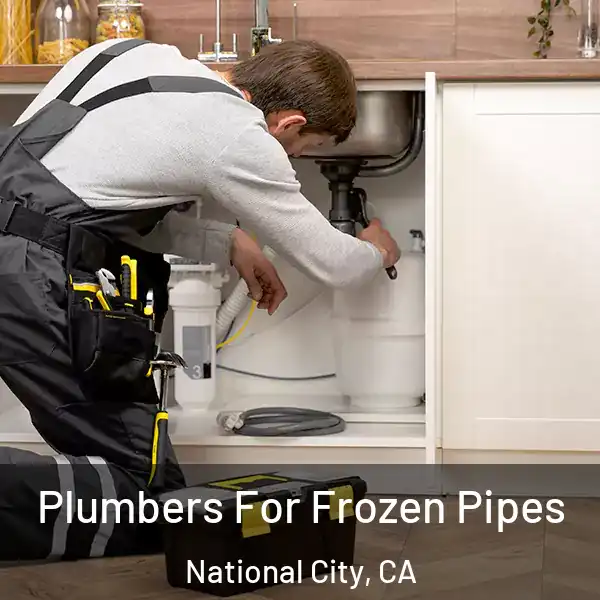  Plumbers For Frozen Pipes National City, CA